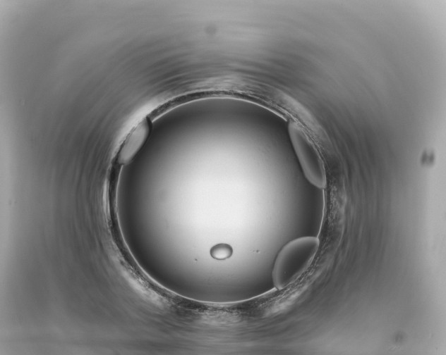 X0000094230788200711021202