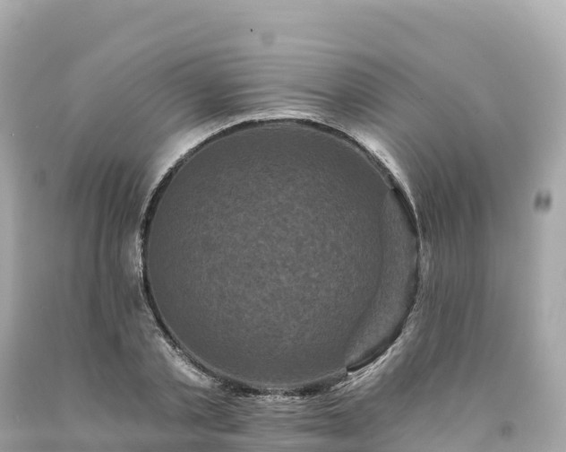 X0000094230789200711021202