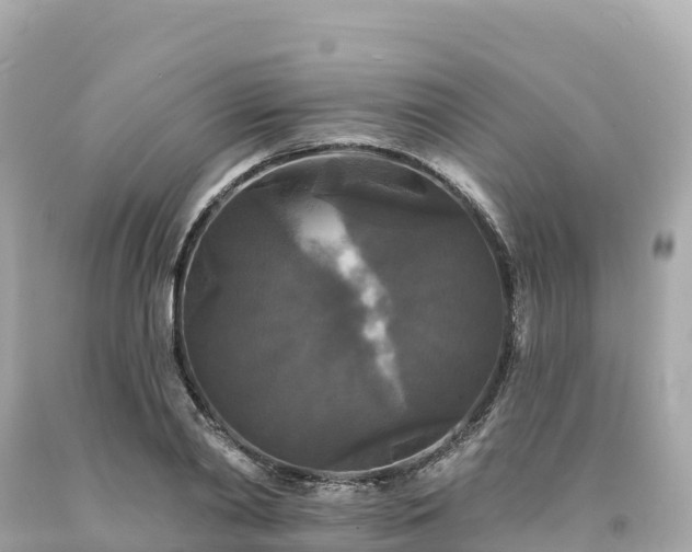 X0000094230790200711021202