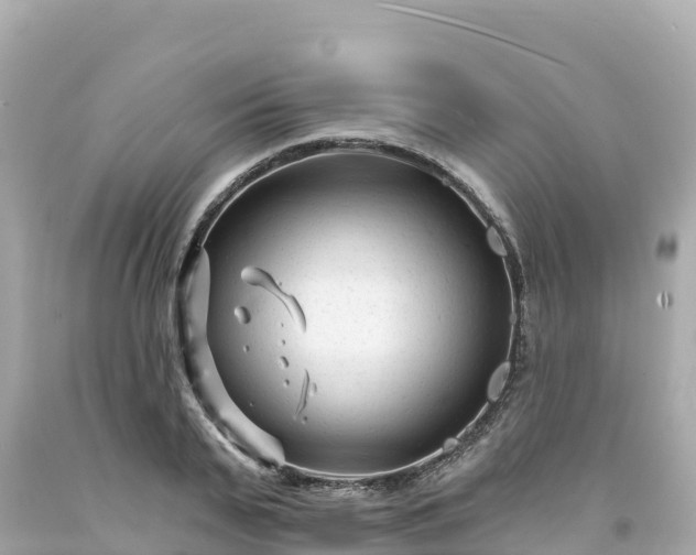 X0000094230791200711021202