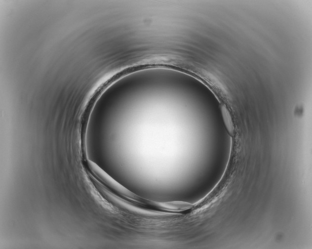 X0000094230792200711021202