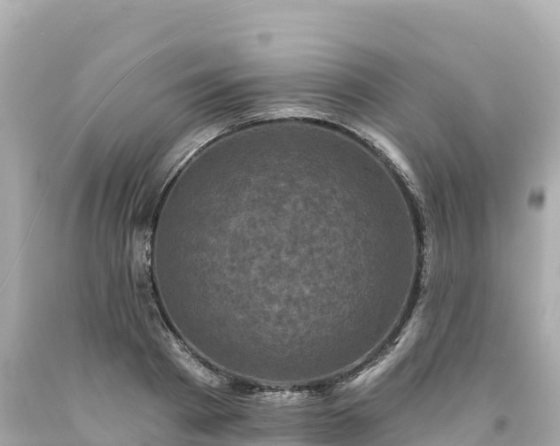 X0000094230793200711021202