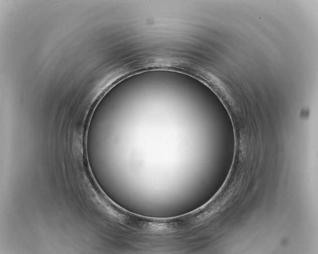 X0000094230794200711021202