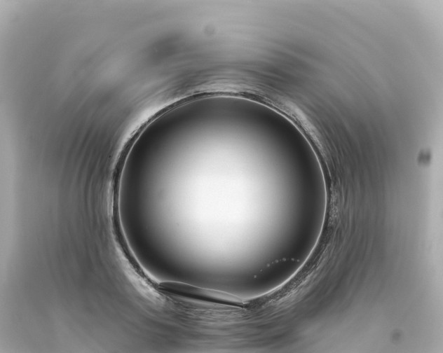 X0000094230795200711021202