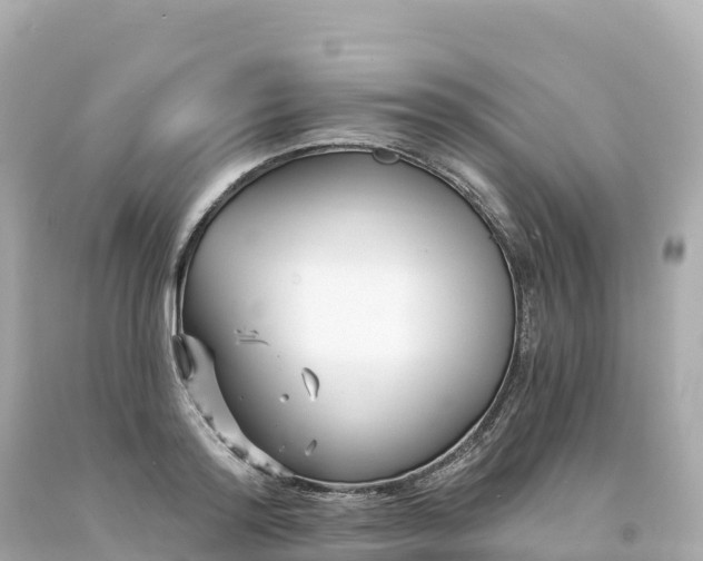 X0000094230796200711021201