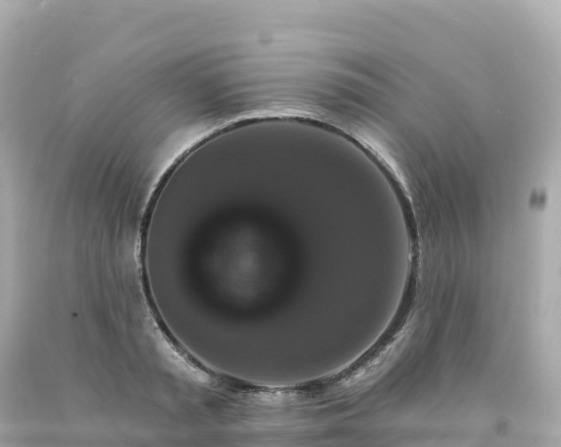 X0000094230797200711021201