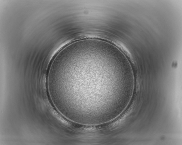 X0000094230798200711021201