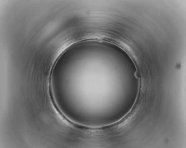 X0000094230802200711021201