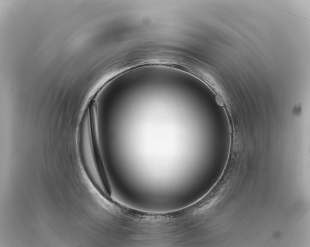 X0000094230803200711021201