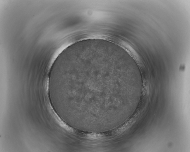 X0000094230804200711021201