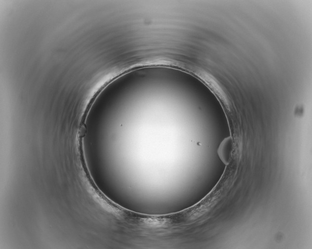 X0000094230805200711021201