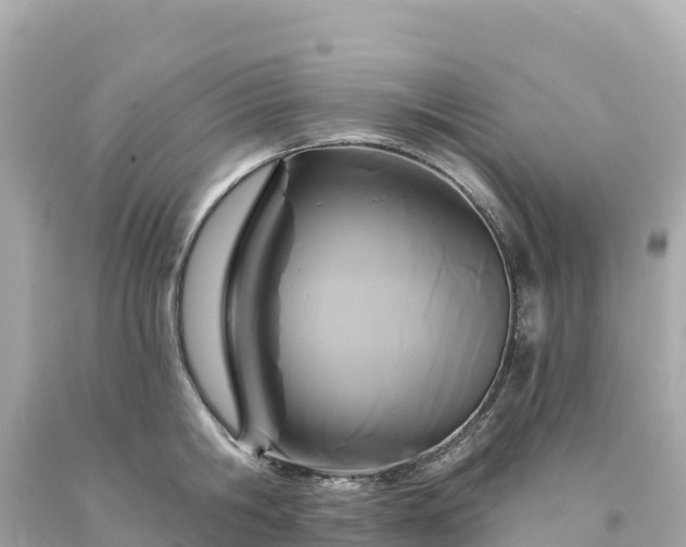 X0000094230806200711021201