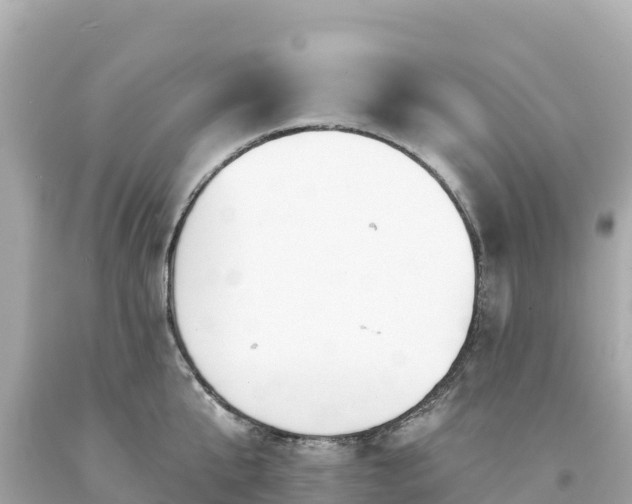 X0000094230807200711021201