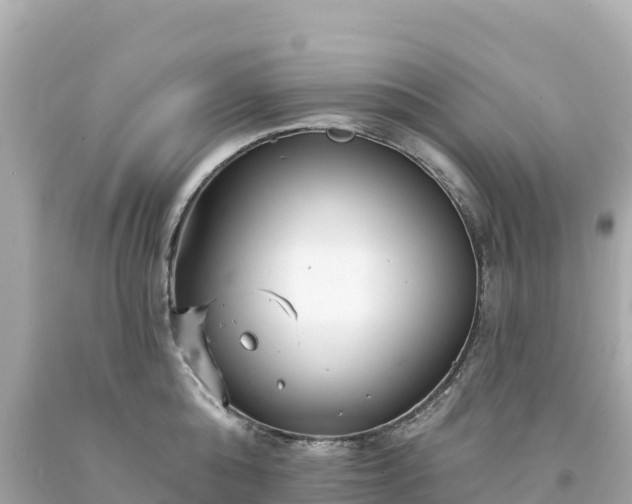 X0000094230808200711021201