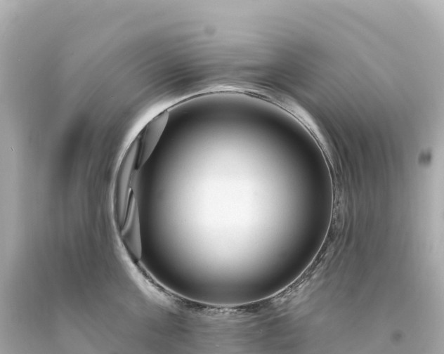 X0000094230811200711021201