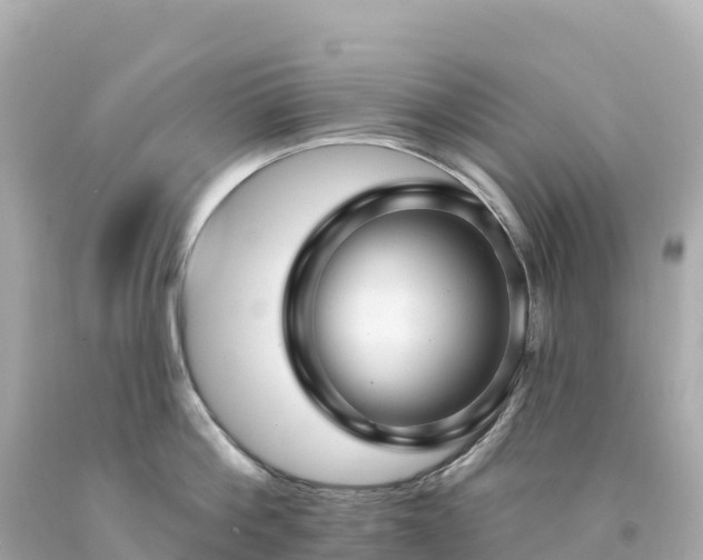 X0000094230812200711021201