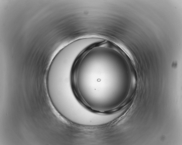 X0000094230813200711021201