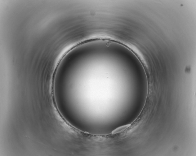 X0000094230815200711021201