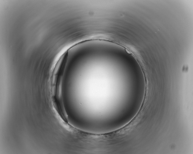 X0000094230816200711021201