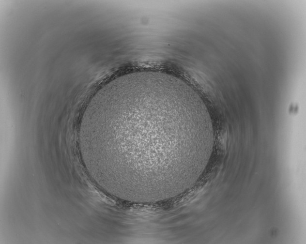 X0000094230817200711021201