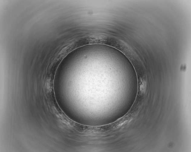 X0000094230819200711021201