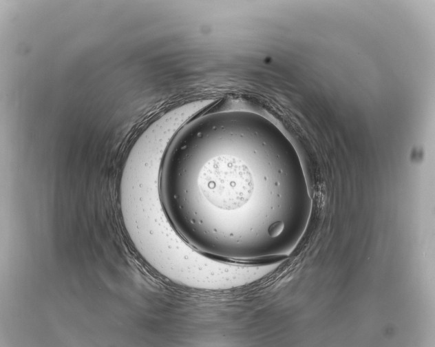 X0000094230820200711021201