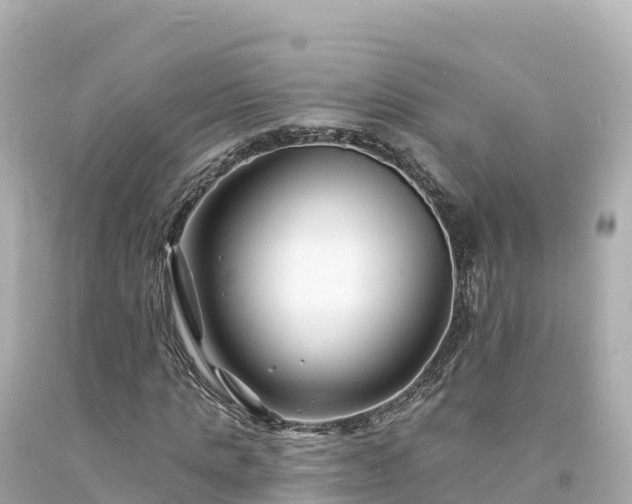 X0000094230821200711021201