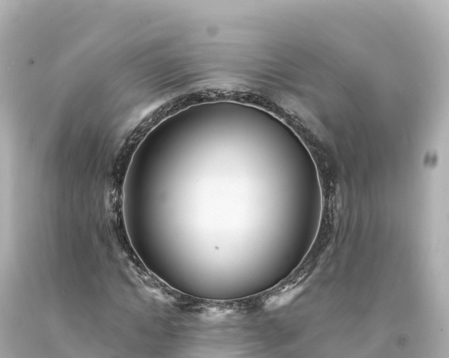 X0000094230822200711021201