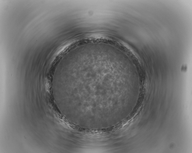 X0000094230823200711021201