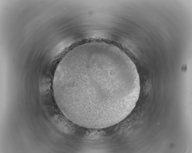 X0000094230824200711021201