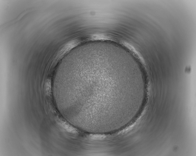 X0000094230825200711021201