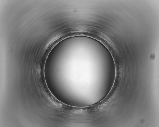 X0000094230826200711021201