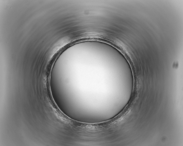 X0000094230827200711021201