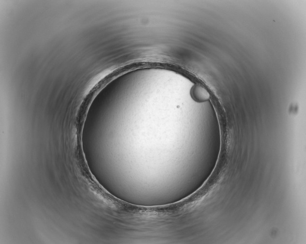 X0000094230829200711021201