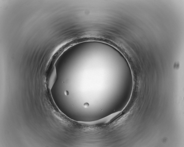 X0000094230830200711021201