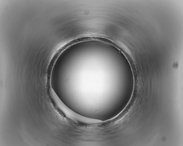 X0000094230831200711021201