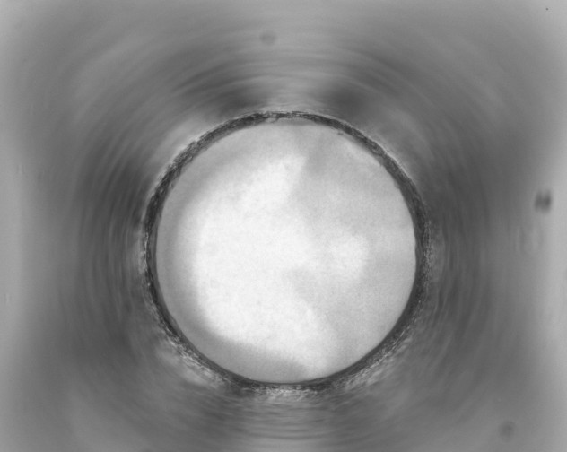 X0000094230832200711021201