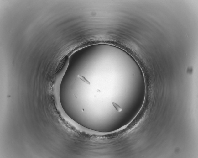 X0000094230833200711021201