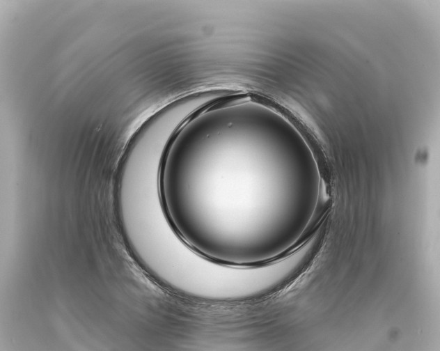 X0000094230834200711021201