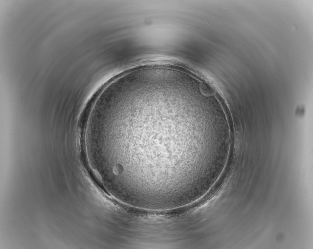 X0000094230835200711021201