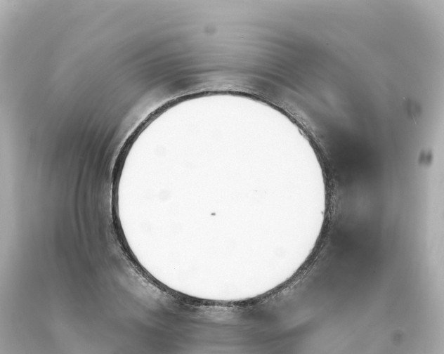 X0000094230836200711021201