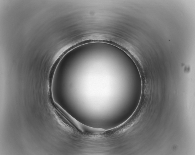 X0000094230837200711021201