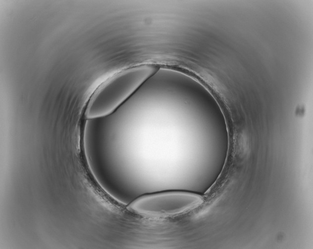 X0000094230838200711021201