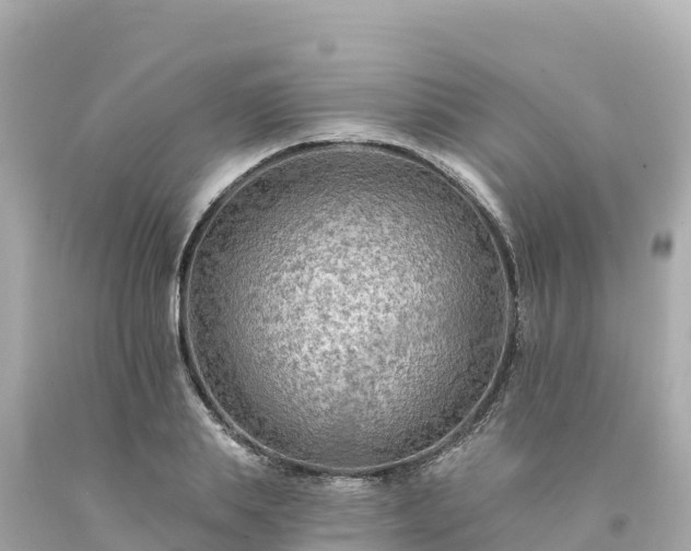 X0000094230839200711021201