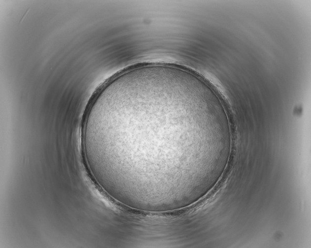 X0000094230840200711021201