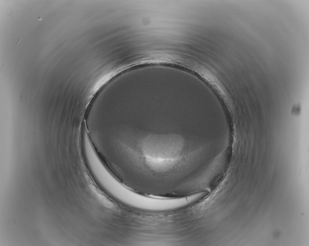 X0000094230842200711021201