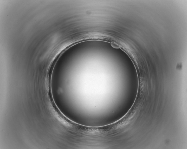 X0000094230843200711021201