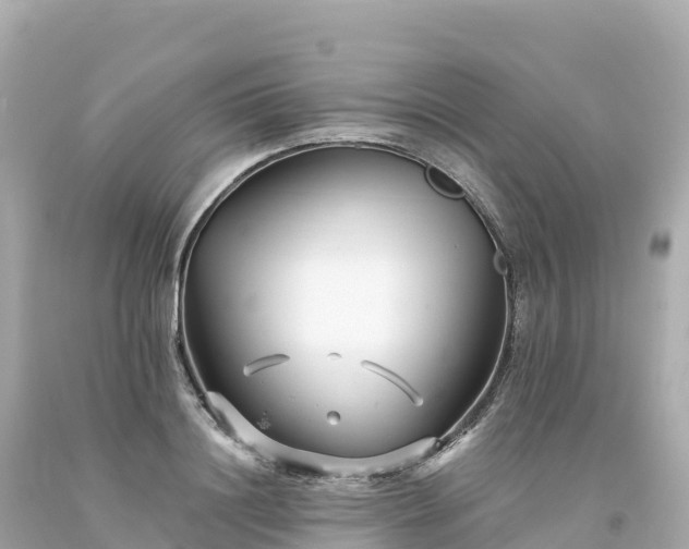 X0000094230844200711021201