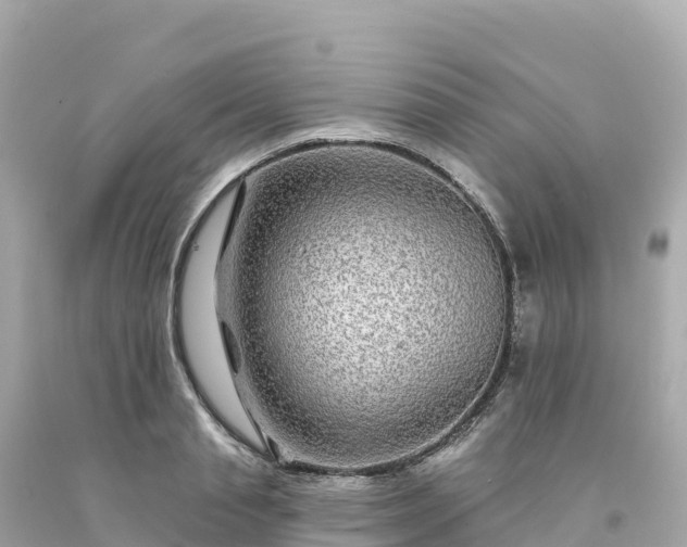 X0000094230845200711021201