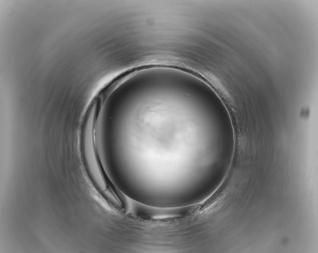 X0000094230846200711021201